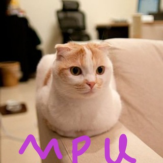 喵喵的理工大学（推送）