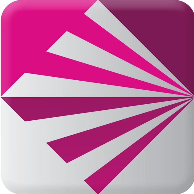 Project V （使用与反馈）