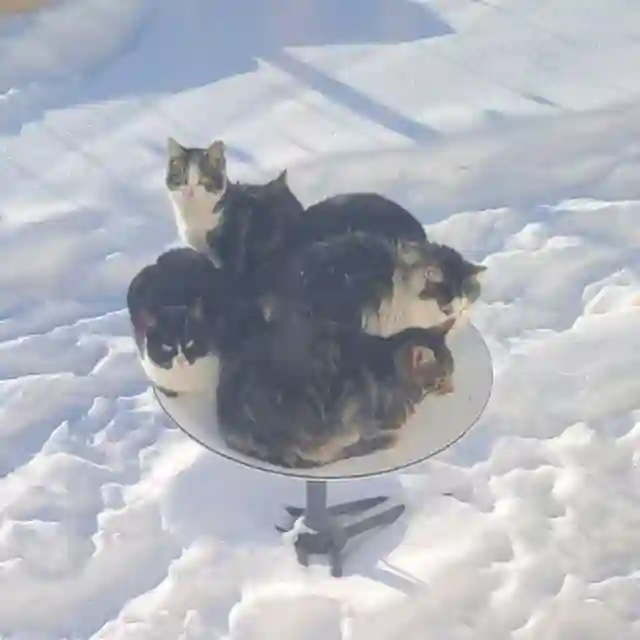 🍺 MBRjund 🍻👑