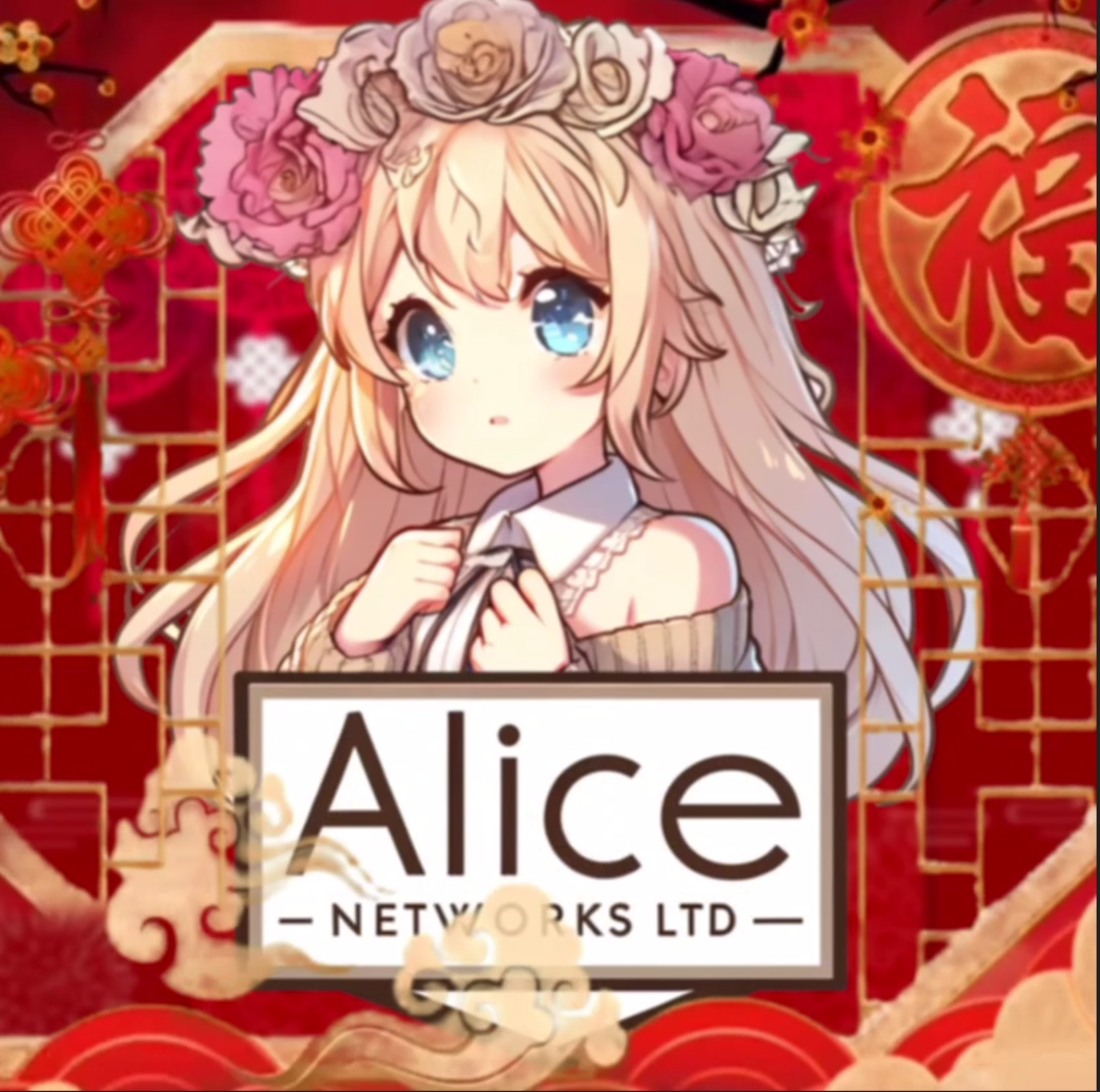 ALICE NOC